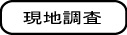 現地調査